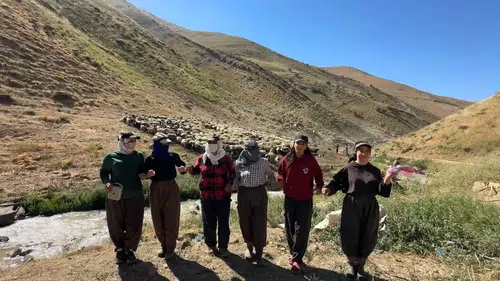 Hakkari yaylalarında ter döken berivanlar bakanlıktan gölgelik bekliyor