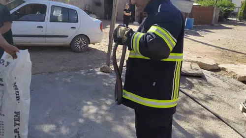 Diyarbakır Bismil’de bir evin yatak odasında iki metrelik yılan bulundu