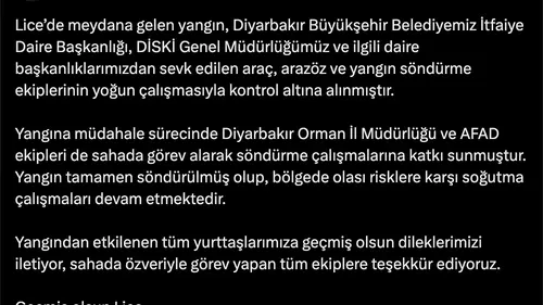 Lice ilçesindeki orman yangını ekiplerin müdahalesiyle tamamen söndürüldü