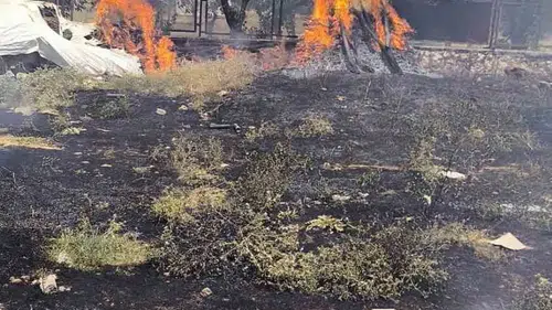 Siirt Kurtalan'da bahçe yangını ekiplerin müdahalesiyle büyümeden kontrol altına alındı