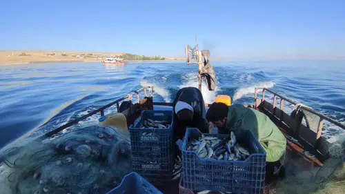 Van Gölü balıkçıları için beklenen yasak bitti