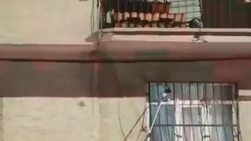 Elazığda bir evin penceresine dolanan yılan korku dolu anlar yaşattı