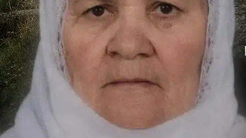 Bitlis Tatvan'da yük treni raydan geçen yaşlı kadına çarptı