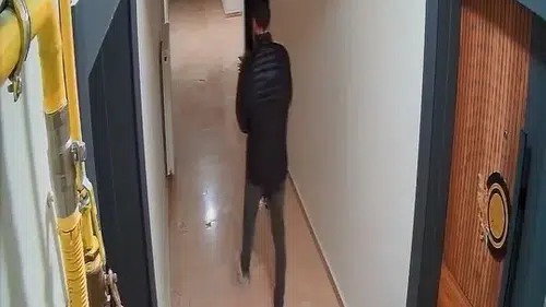 Elazığ’da apartman koridoruna giren hırsız kapı önündeki çiçeği çaldı
