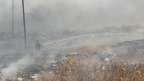 Diyarbakırda rüzgarın taşıdığı anız ateşi hafriyat sahasını küle çevirdi