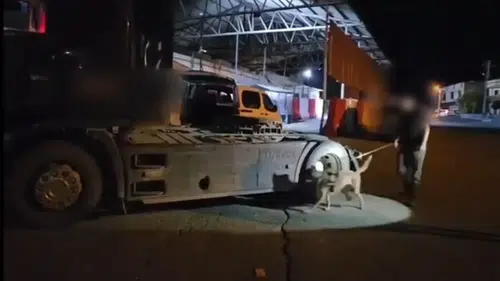 Şırnak polisinden uyuşturucu tacirlerine tır operasyonu