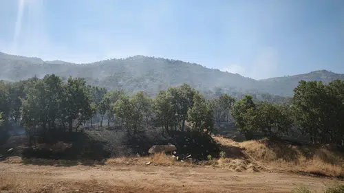 Çüngüş’teki Mırgan Yaylası’nda çıkan yangın ekiplerin müdahalesiyle söndürüldü