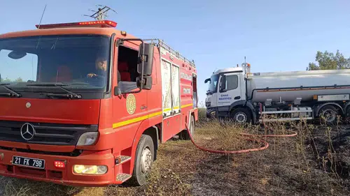 Diyarbakır Çınar'da çıkan yangın elektrik direğindeki leyleklerin sonu oldu