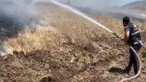 Karakoçan ilçesindeki tarlalarda çıkan yangın 35 dönüm ürünü yok etti