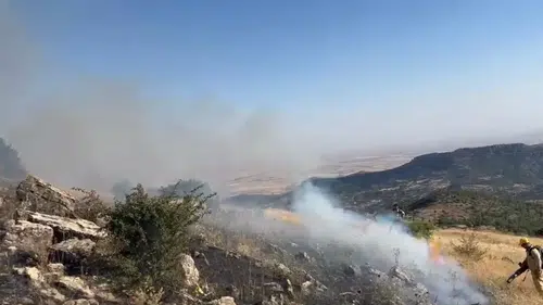 Hazro ilçesinde çıkan örtü yangını kontrol altına alınarak söndürüldü