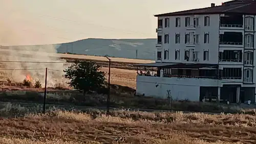 Palu ilçesindeki buğday tarlasında çıkan yangın ekiplerin çabasıyla söndürüldü