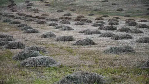 Faraşin Yaylasında besicilerin zorlu kış mesaisi başladı