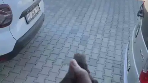 Genç ilçesinde sıkışan küçük kuş itfaiye yardımıyla özgürlüğüne kavuştu
