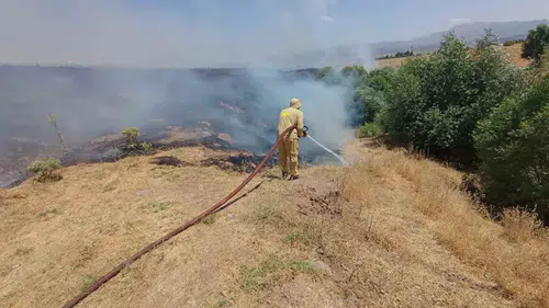 Bingöl genelinde beş farklı noktada etkili olan yangınlar kontrol altına alındı