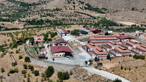 Elazığ’da binlerce sokak hayvanı modern merkezde şifa buluyor