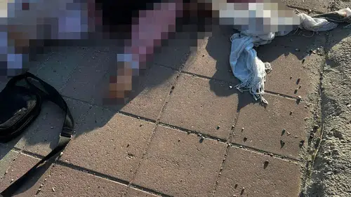 Nusaybin ilçesinde tırın çarptığı 69 yaşındaki kadın yaşamını yitirdi