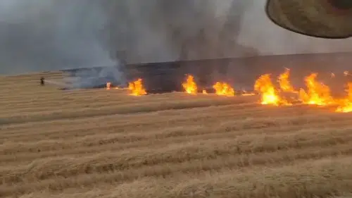 Silvan kırsalında dev yangın 5 bin dönümlük alanı küle çevirdi