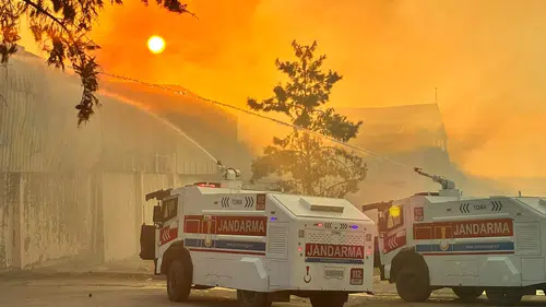 Şanlıurfa'daki besi çiftliğinde saman deposu alevlere teslim oldu