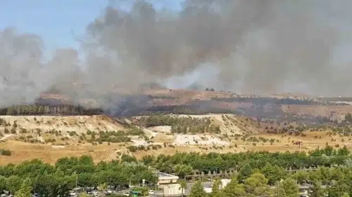 Şanlıurfa Karaköprü’deki ormanlık alanda çıkan yangın kontrol altına alındı