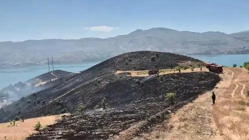 Sivrice ilçesindeki kırsal alanda başlayan yangın ekiplerce söndürüldü