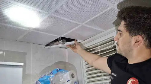 Batmanlıları telaşlandıran güvercinlere itfaiye ekipleri yetişti