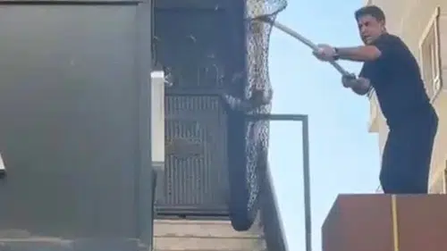 Batman'da metruk binada mahsur kalan beş kedi yavrusu kurtarıldı