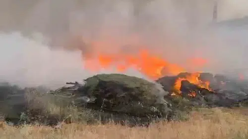 Bingöl Sancak bölgesindeki ormanlık alanda yangın çıktı