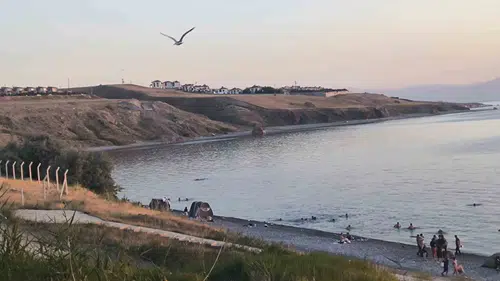 Van Mollakasım Sahili çöp yığınları arasında yok olma tehlikesi yaşıyor