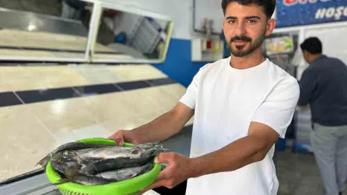 Van Gölü’nde balık avı sezonu yeniden açıldı