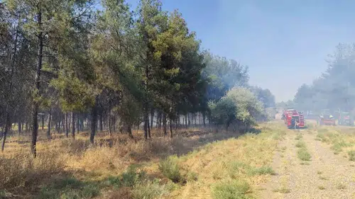 Dicle Üniversitesi kampüsünde çıkan yangın ekipler tarafından kontrol altına alındı