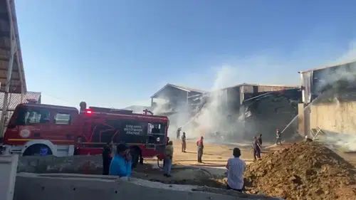 Şanlıurfa'da bir besi çiftliğinin saman deposu alevlere teslim oldu