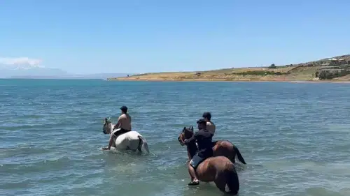 Van Gölü kıyısında atlı serinlik keyfi