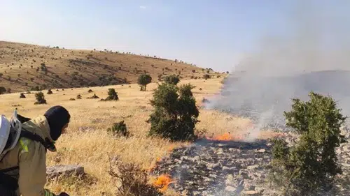 Mazıdağı bölgesinde çıkan anız yangını itfaiye ekipleri tarafından söndürüldü