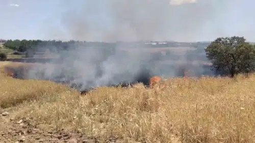 Elazığ Poyraz Köyü yakınlarındaki arazide çıkan yangın kontrol altına alındı