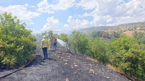 Bingöl Yamaç köyünde çıkan orman yangını ekiplerin hızlı müdahalesiyle söndürüldü