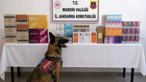 Mardin Jandarmasından kaçak tütün ürünlerine yönelik geniş çaplı baskın
