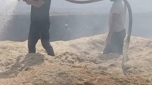 Bingöl kırsalında dev yangın iki bin dönümlük alanı küle çevirdi
