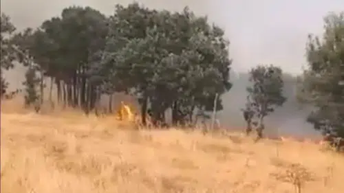 Lice Türeli bölgesindeki örtü yangını yerleşim yerlerini tehdit ediyor