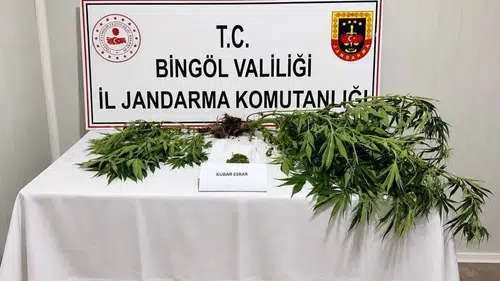Bingöl jandarmasından aranan şahıslara yönelik geniş çaplı operasyon