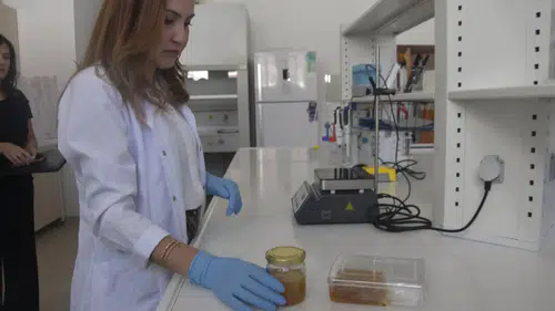 Bitlis Eren Üniversitesi bal üretiminde kaliteyi bilimsel analizlerle tescilliyor