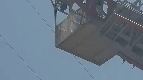 Palu ilçesinde mahsur kalan yaralı leyleği itfaiye ekipleri kurtardı