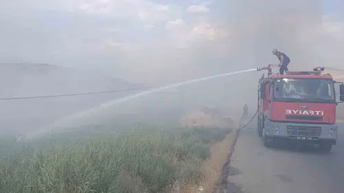 Siirt Üniversitesinin yanındaki arazide çıkan yangın yüz dönümü küle çevirdi