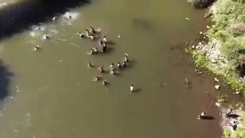 Bingöl’de piknik alanında suya düşen vatandaşın kurtarılma çabaları havadan kaydedildi