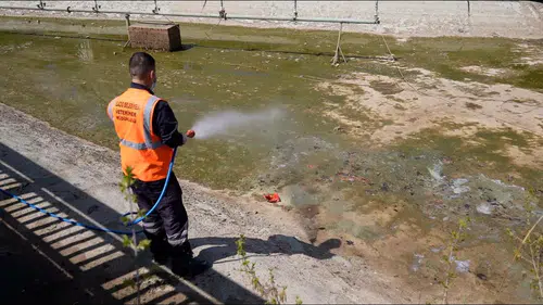 Elazığ genelinde sinek ve haşerelere karşı geniş kapsamlı ilaçlama seferberliği başladı