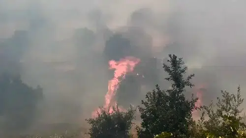 Lice kırsalında çıkan yangın 400 dönümlük alanı küle çevirdi