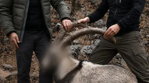 Siirtte yasa dışı yaban keçisi avlayanlara altı yıl sonra ceza kesildi