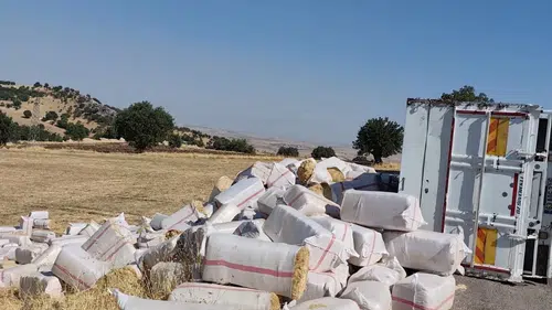 Çermik'te saman yüklü kamyon yan yattı