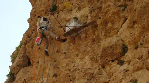 Batmanlı öğretmen yüzlerce metre yükseklikte kaya balı topluyor