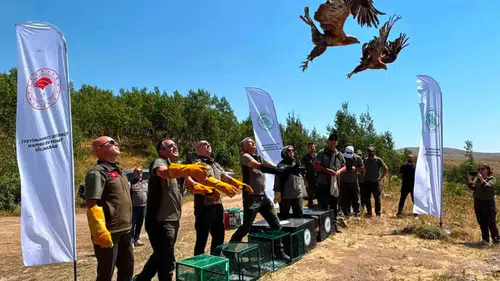 Tedavisi tamamlanan 5 yaban hayvanı Nemrut Kalderası'nda özgürlüğüne kavuştu