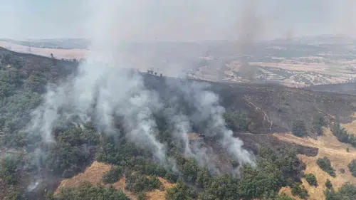 Tunceli ormanlarında çıkan yangın havadan ve karadan müdahaleyle söndürülmeye çalışılıyor